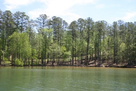 Lot 20 Whispering Ridge Alexander City, AL 35010 - Photo 1 of 1 Gallery Image 1