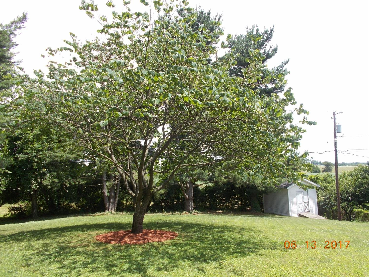 217 Ridge Road Mount Sterling, KY 40353 - Photo 37 of 43 Photo 38