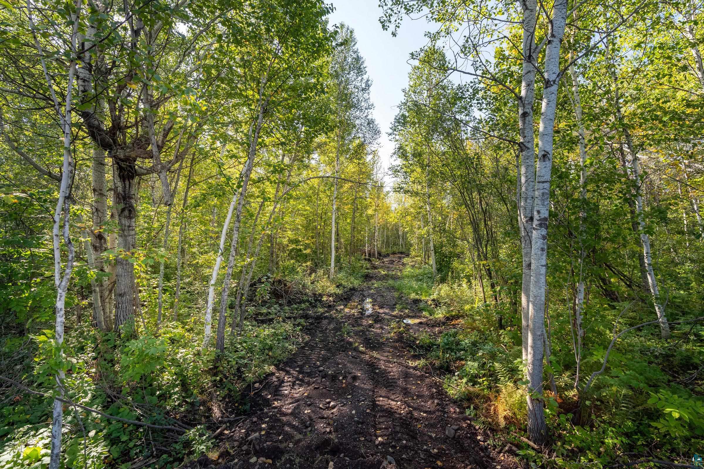 23-xx Lismore Road Duluth, MN 55804 - Photo 4 of 21 Gallery Image 4
