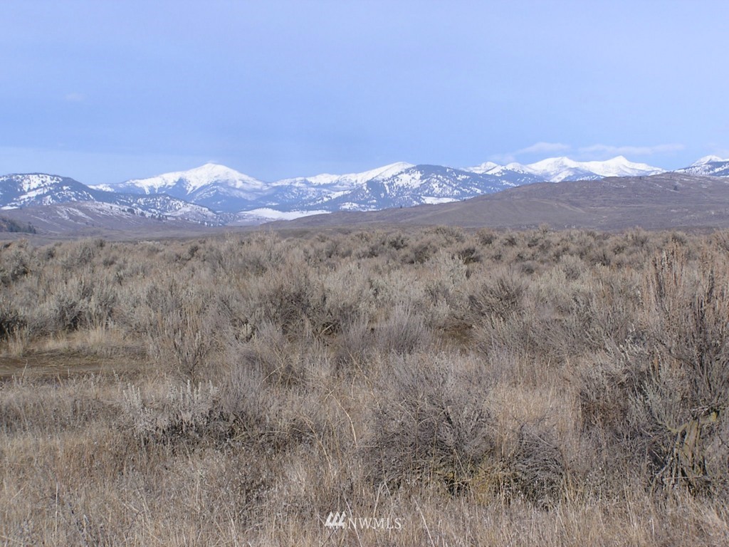 45 Sand Dust Road Omak, WA 98841 - Photo 1 of 11