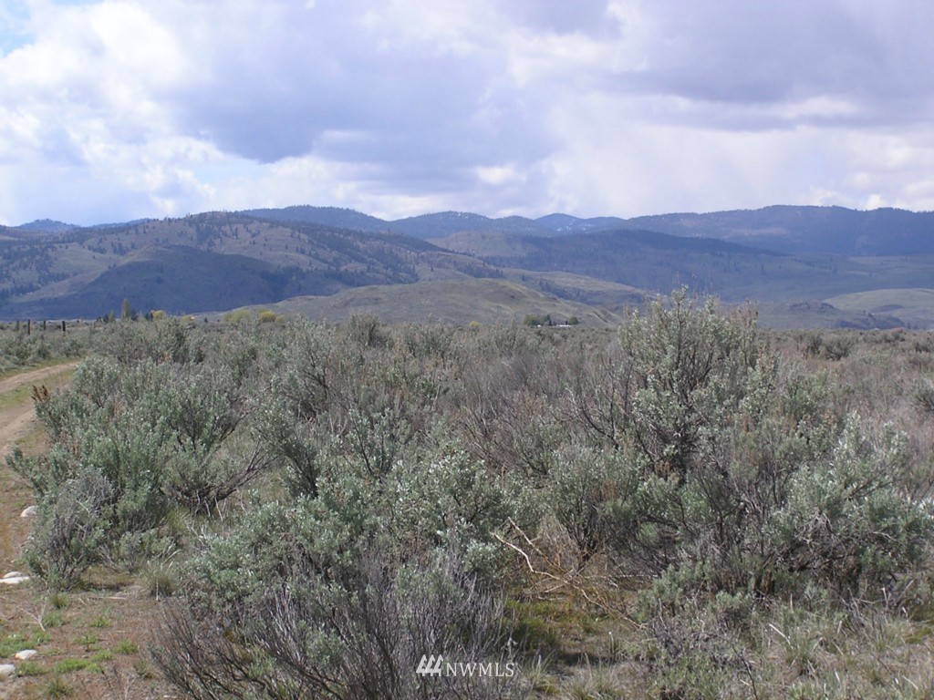 45 Sand Dust Road Omak, WA 98841 - Photo 2 of 11