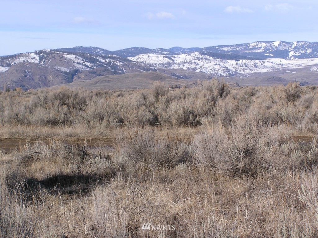 45 Sand Dust Road Omak, WA 98841 - Photo 3 of 11