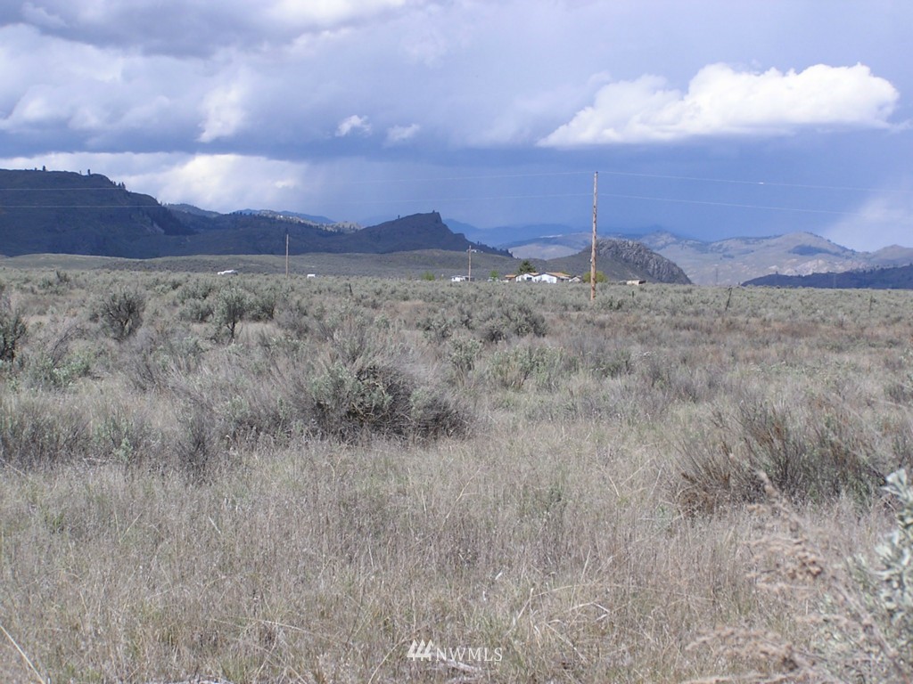 45 Sand Dust Road Omak, WA 98841 - Photo 4 of 11