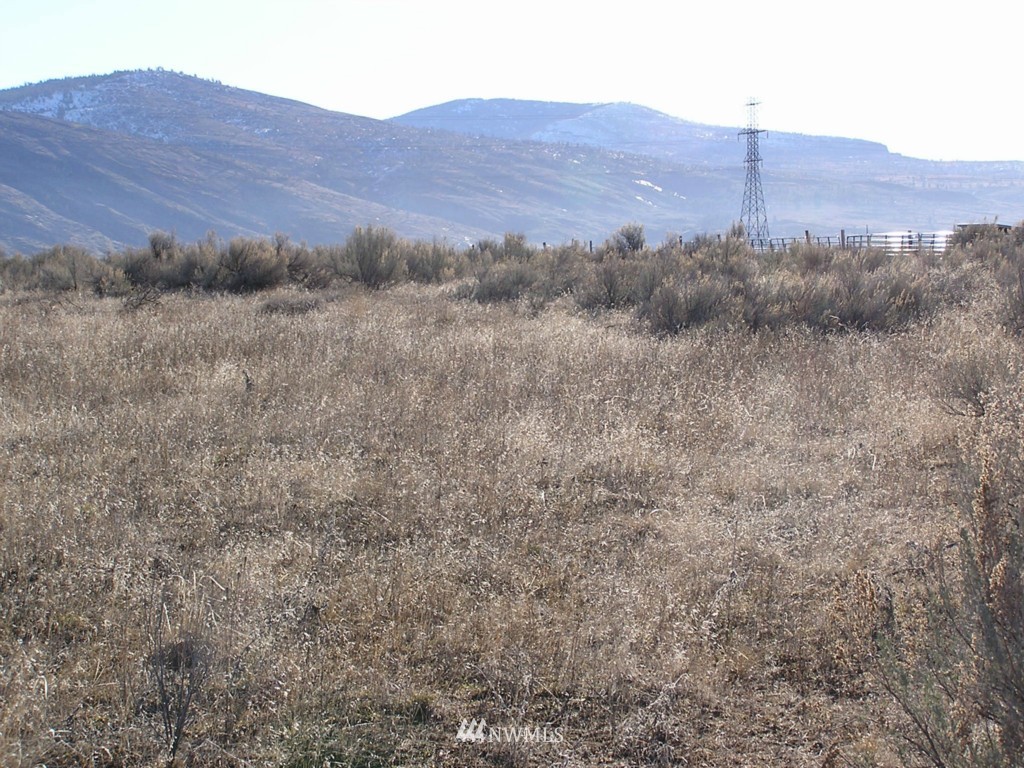 45 Sand Dust Road Omak, WA 98841 - Photo 6 of 11