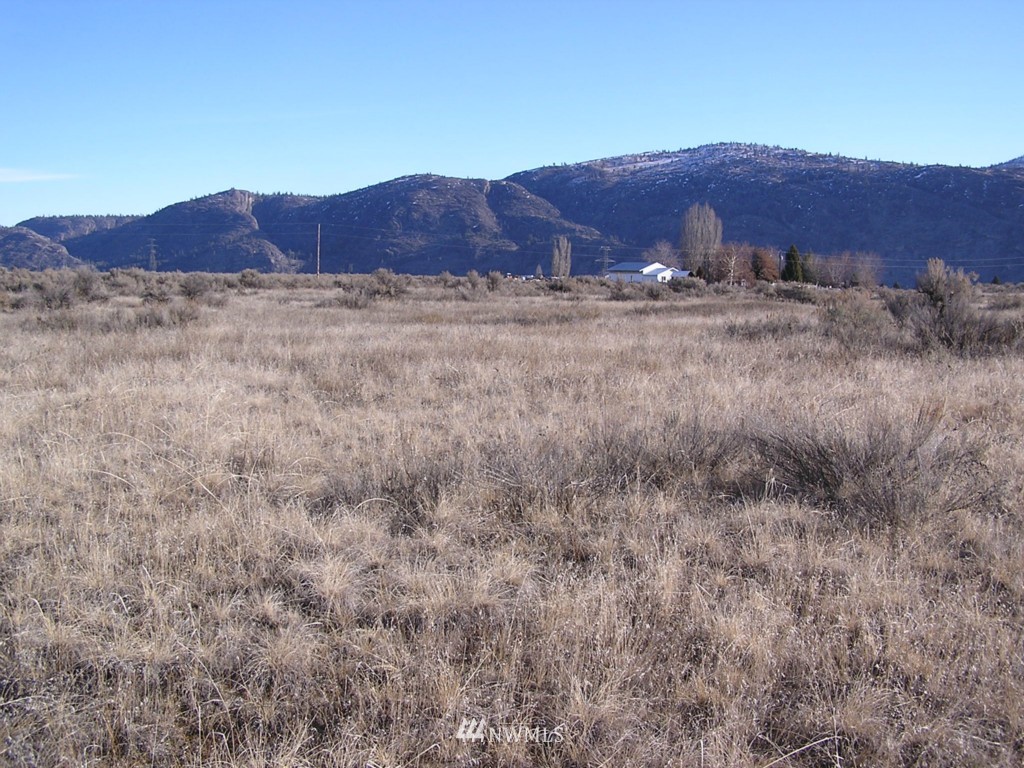 45 Sand Dust Road Omak, WA 98841 - Photo 8 of 11