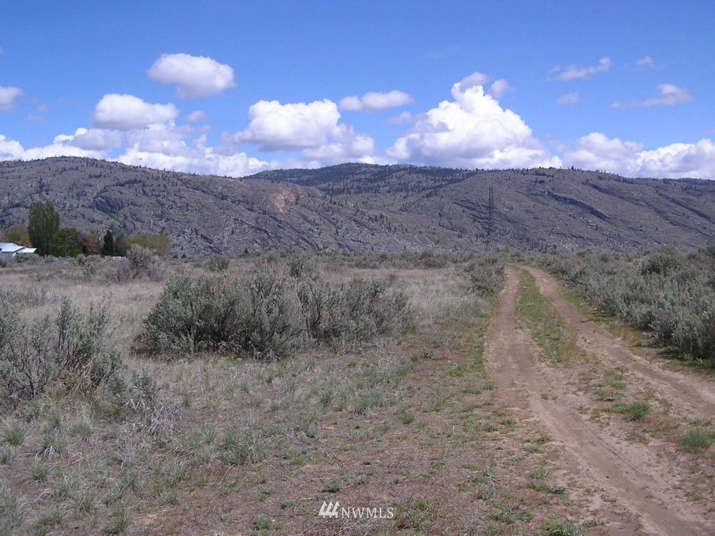 45 Sand Dust Road Omak, WA 98841 - Photo 9 of 11