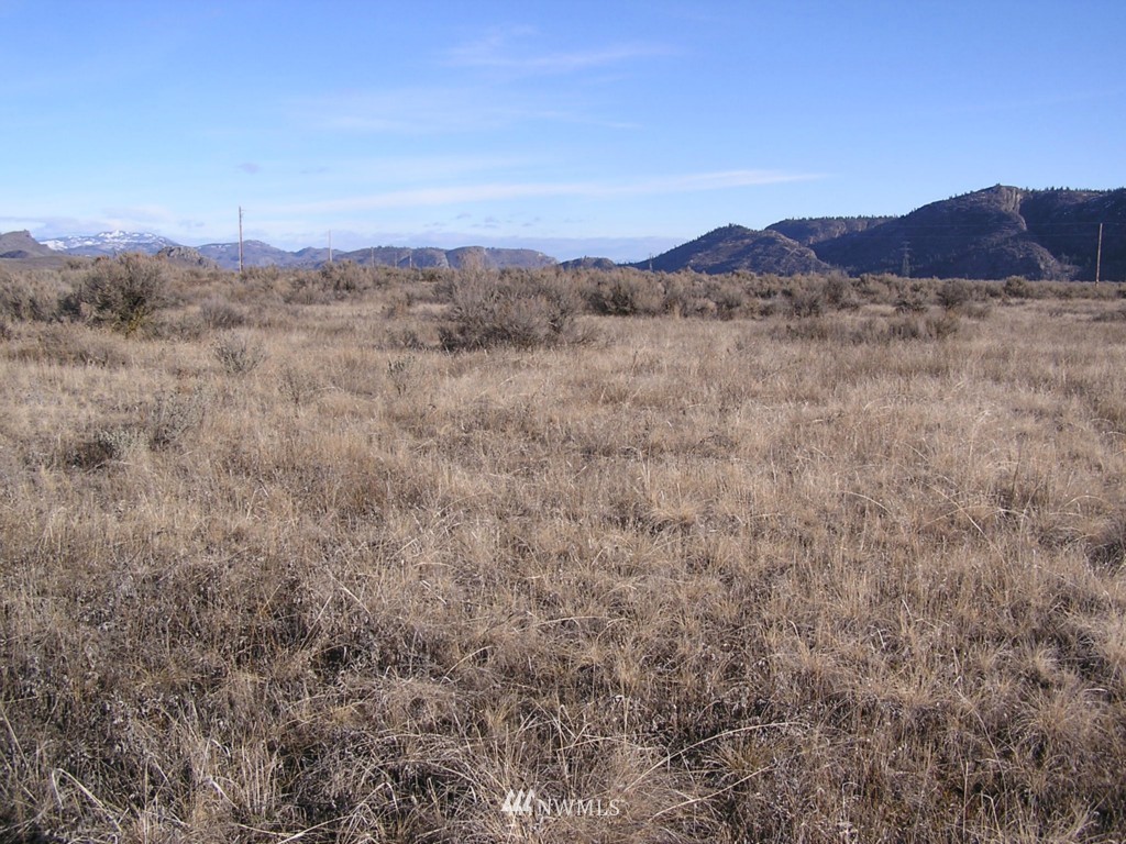 45 Sand Dust Road Omak, WA 98841 - Photo 10 of 11