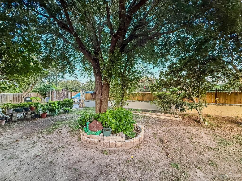 4701 Russell Circle Mission, TX 78574 - Photo 7 of 41 a view of a garden with plants and large trees