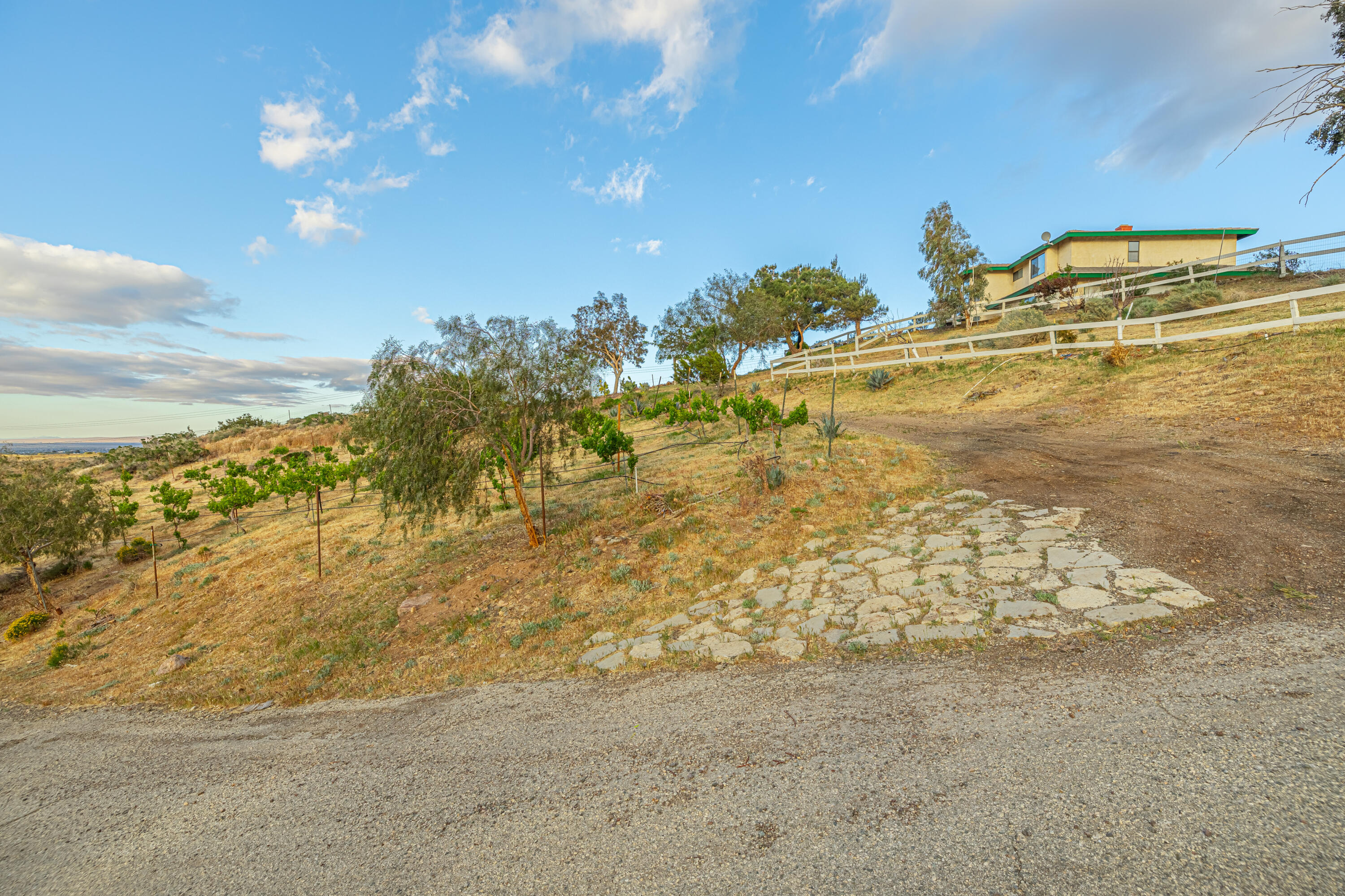 35015 Small Road Palmdale, CA 93550 - Photo 47 of 65 JMY_7442-HDR