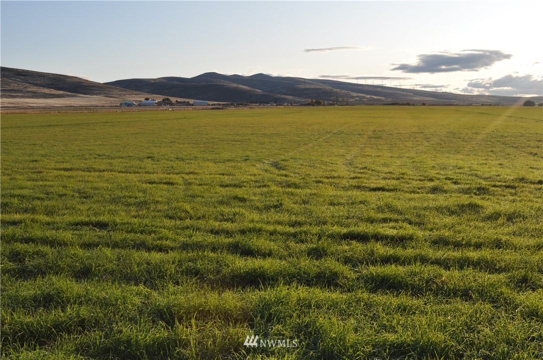 1140 Fox Road Ellensburg, WA 98926 - Photo 17 of 24 Gallery Image 17