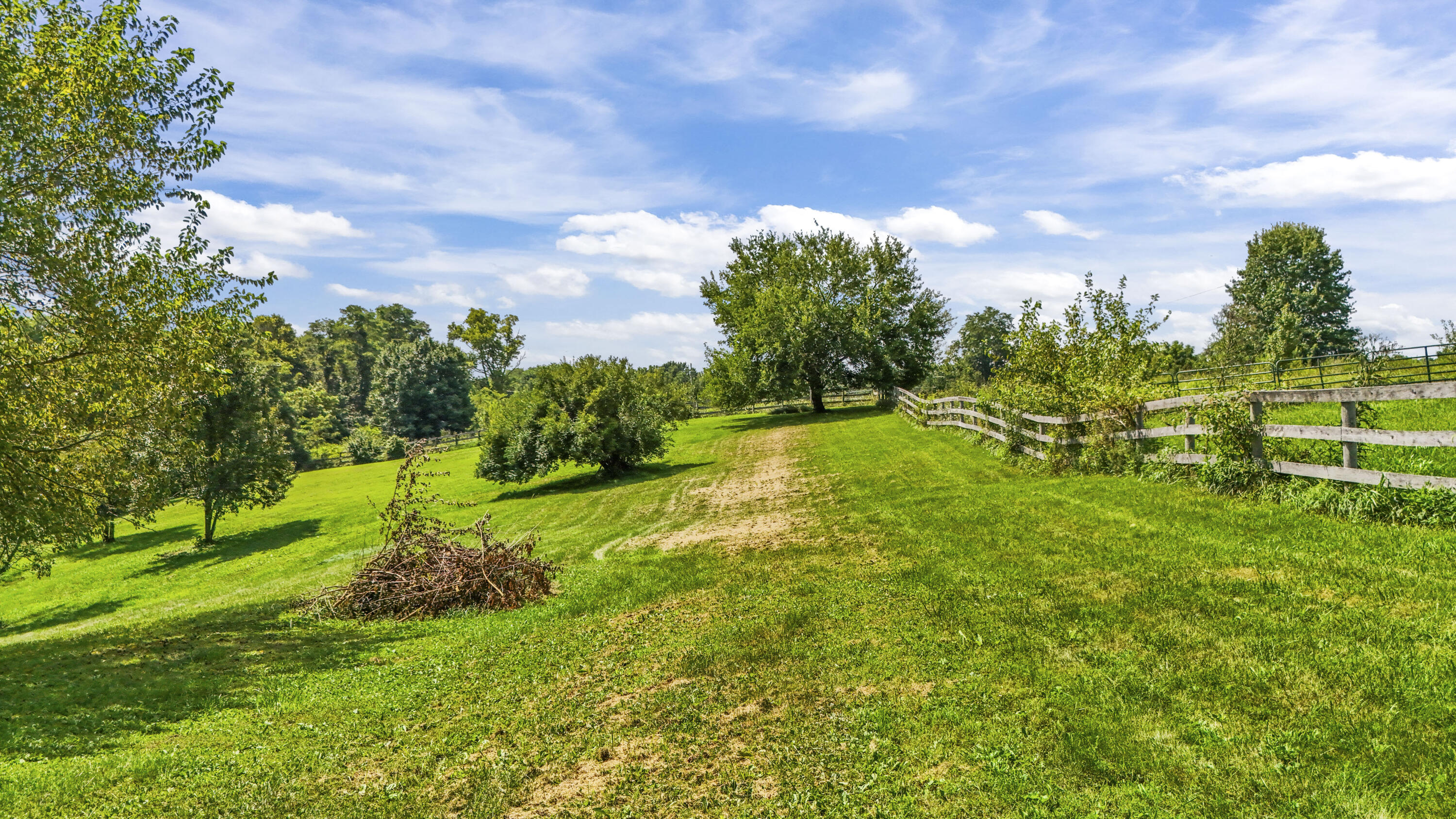 12354 Bowman Road Independence, KY 41051 - Photo 25 of 36 DJI_20260731120606_0239_D