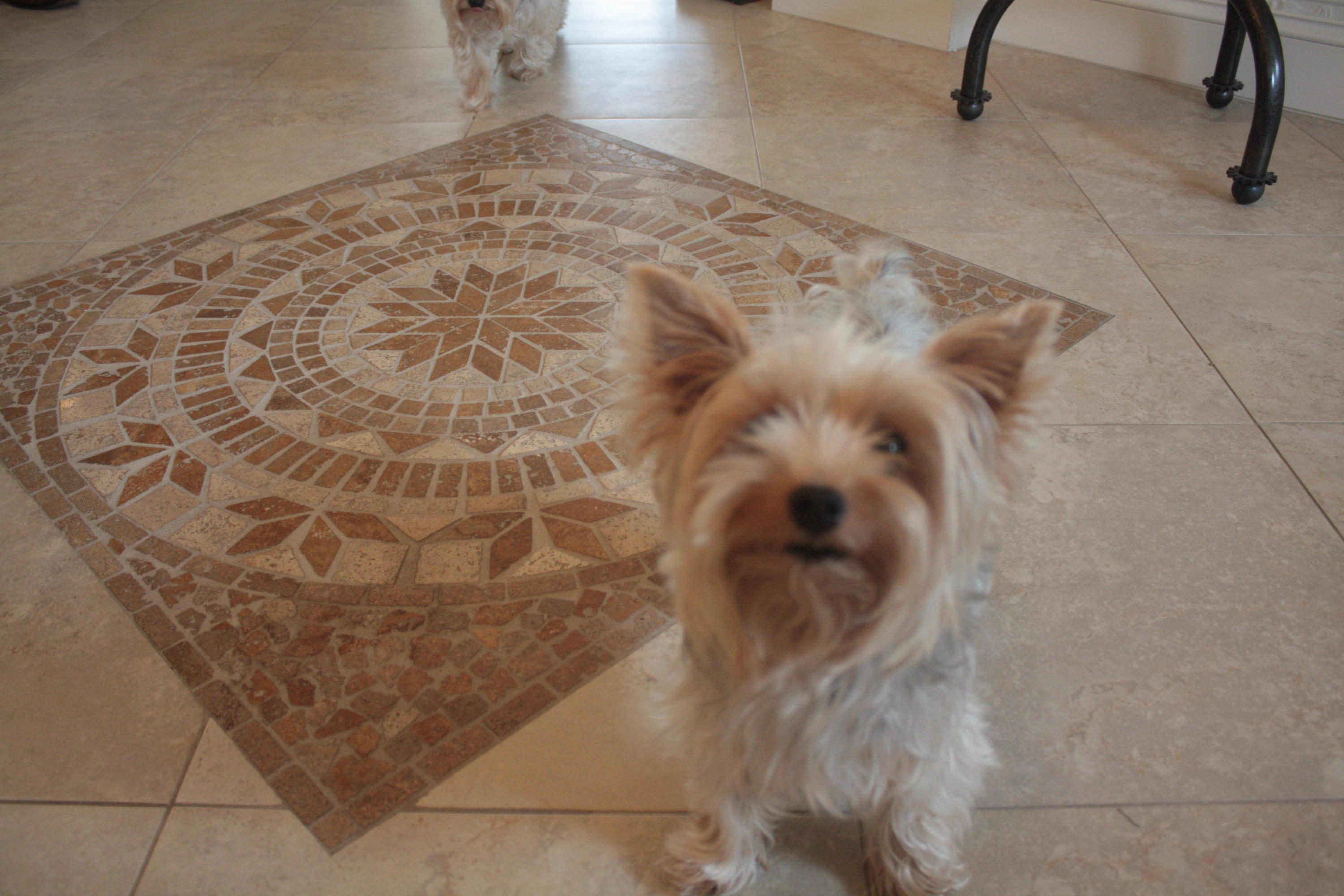 11548 Southwest Rockingham Drive Port St. Lucie, FL 34987 - Photo 21 of 32 IMG_2278