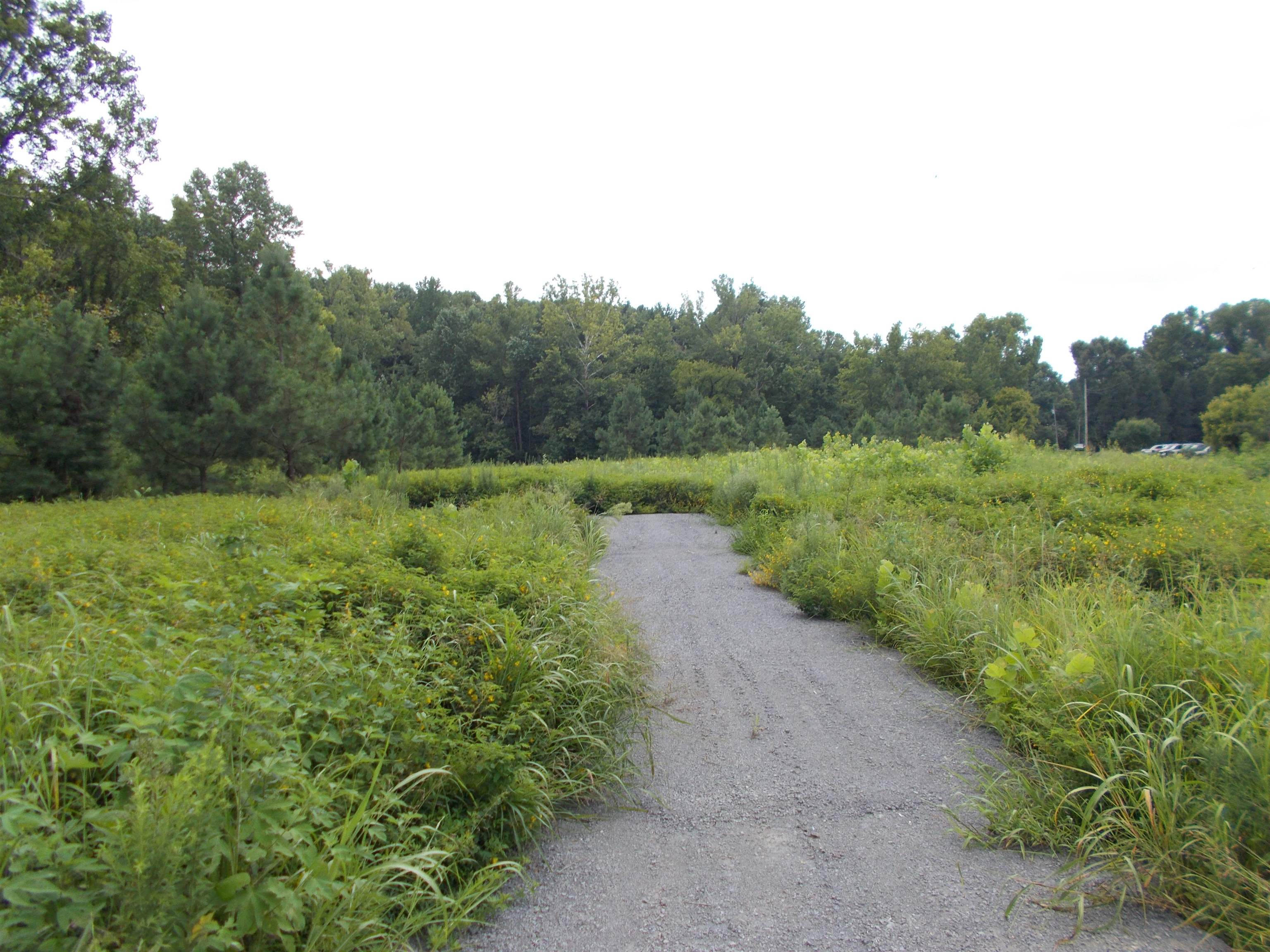 a view of a big yard with lots of green space