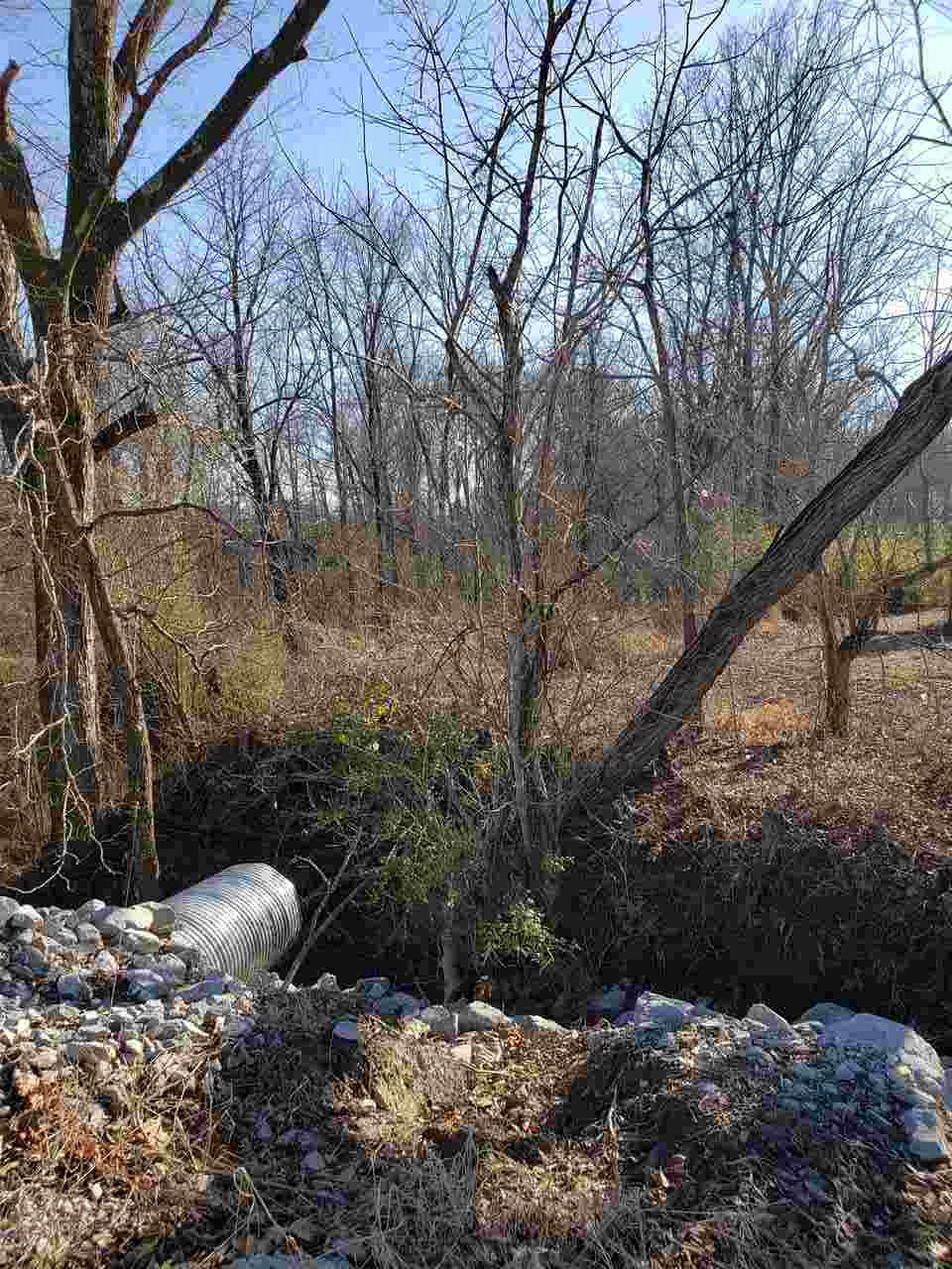 2800 Dr Lewis Road Ripley, TN 38063 - Photo 11 of 11 a view of a backyard of the house