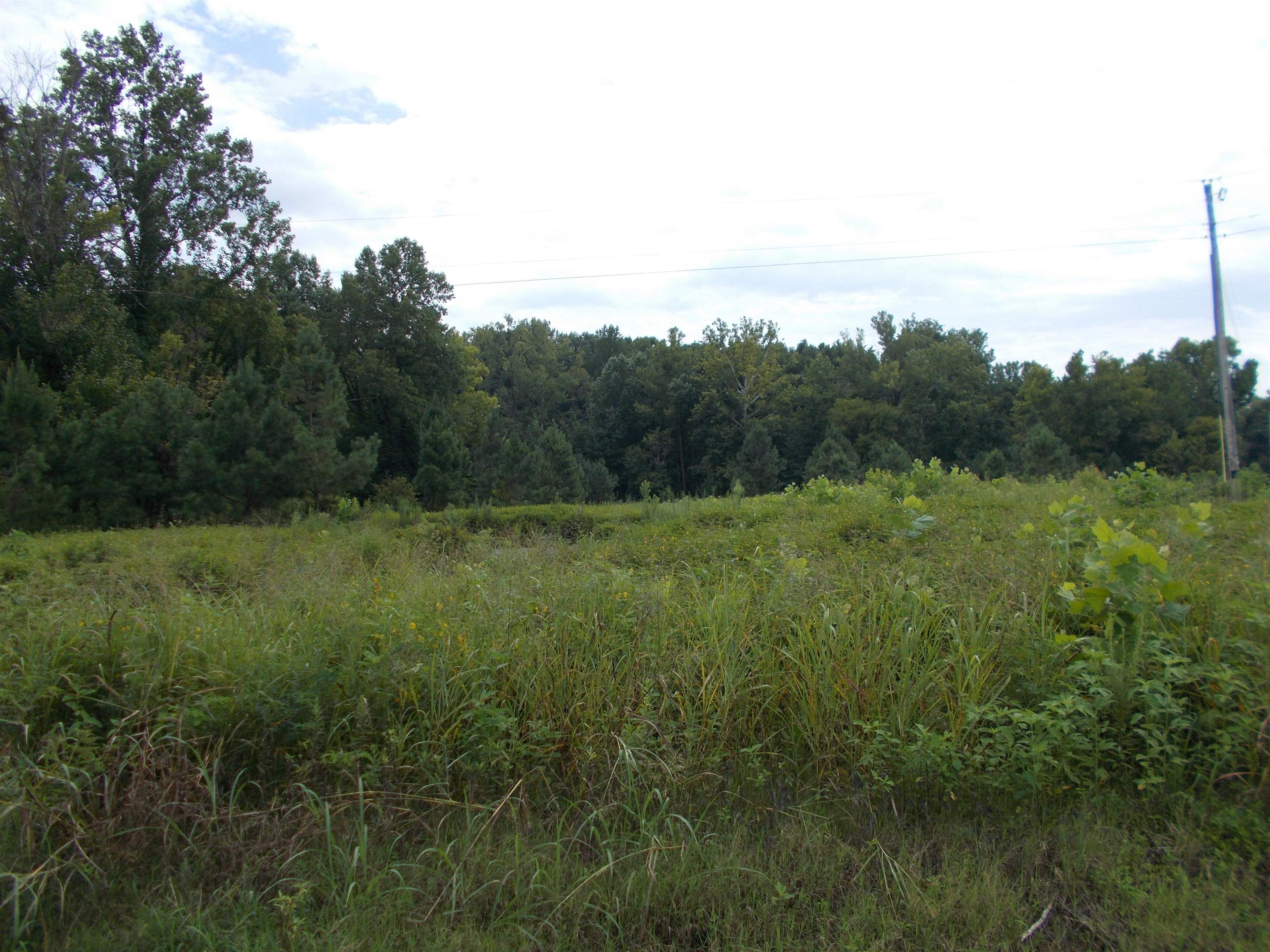 2800 Dr Lewis Road Ripley, TN 38063 - Photo 3 of 11 a view of a lush green outdoor space with a lake view and bushes