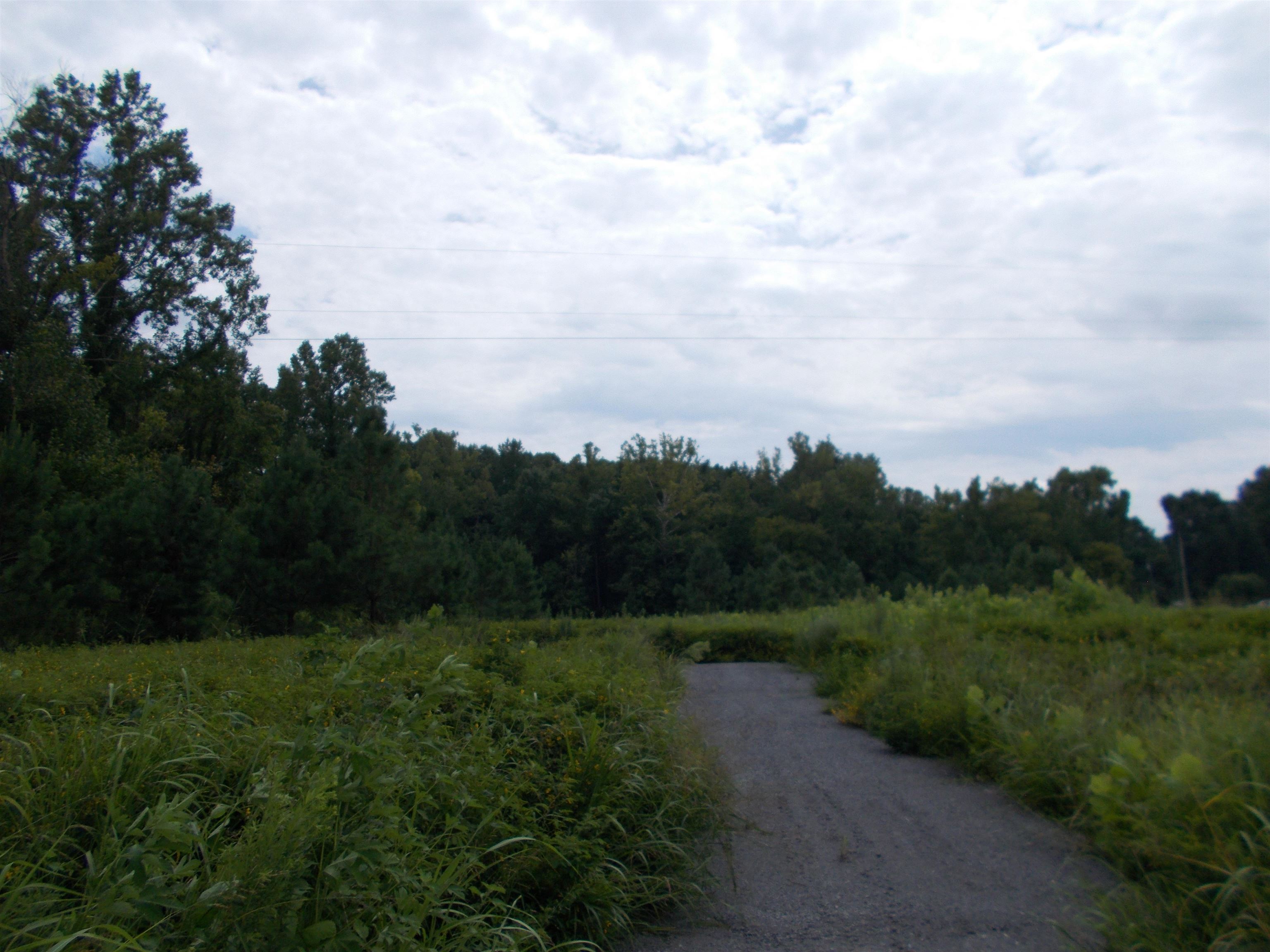 2800 Dr Lewis Road Ripley, TN 38063 - Photo 6 of 11 a view of a grassy field with trees in background