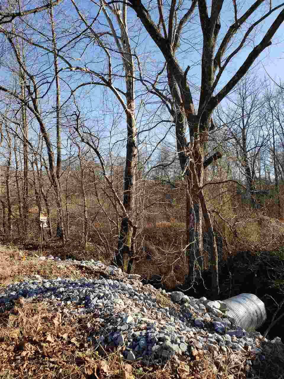 2800 Dr Lewis Road Ripley, TN 38063 - Photo 9 of 11 a backyard of a house with large trees