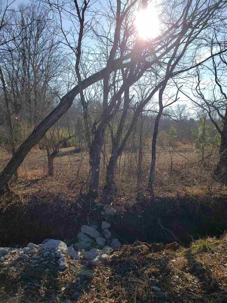 2800 Dr Lewis Road Ripley, TN 38063 - Photo 10 of 11 a view of outdoor space and yard