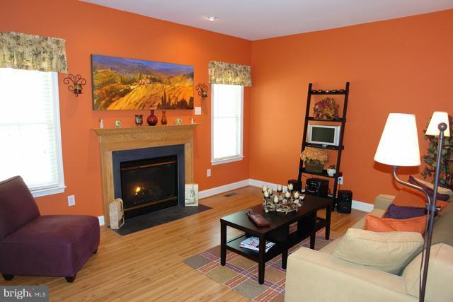 4214 Mt Ephraim Road Sumerduck, VA 22742 - Photo 14 of 30 Family Room
