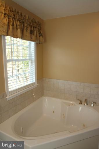 4214 Mt Ephraim Road Sumerduck, VA 22742 - Photo 24 of 30 Bath (Master)