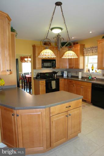 4214 Mt Ephraim Road Sumerduck, VA 22742 - Photo 27 of 30 Kitchen
