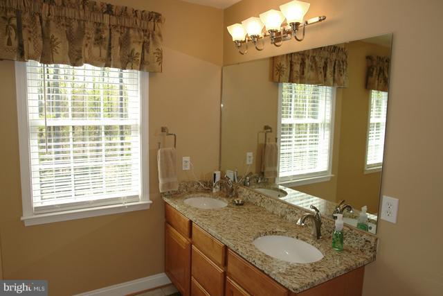 4214 Mt Ephraim Road Sumerduck, VA 22742 - Photo 4 of 30 Bath (Master)