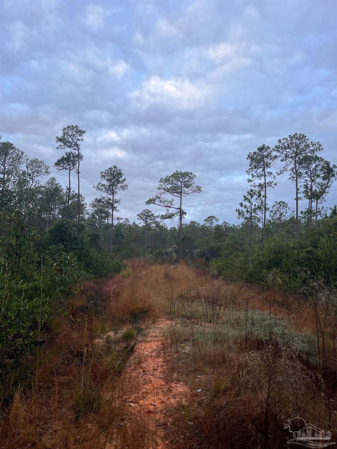 a view of a city with lush green forest