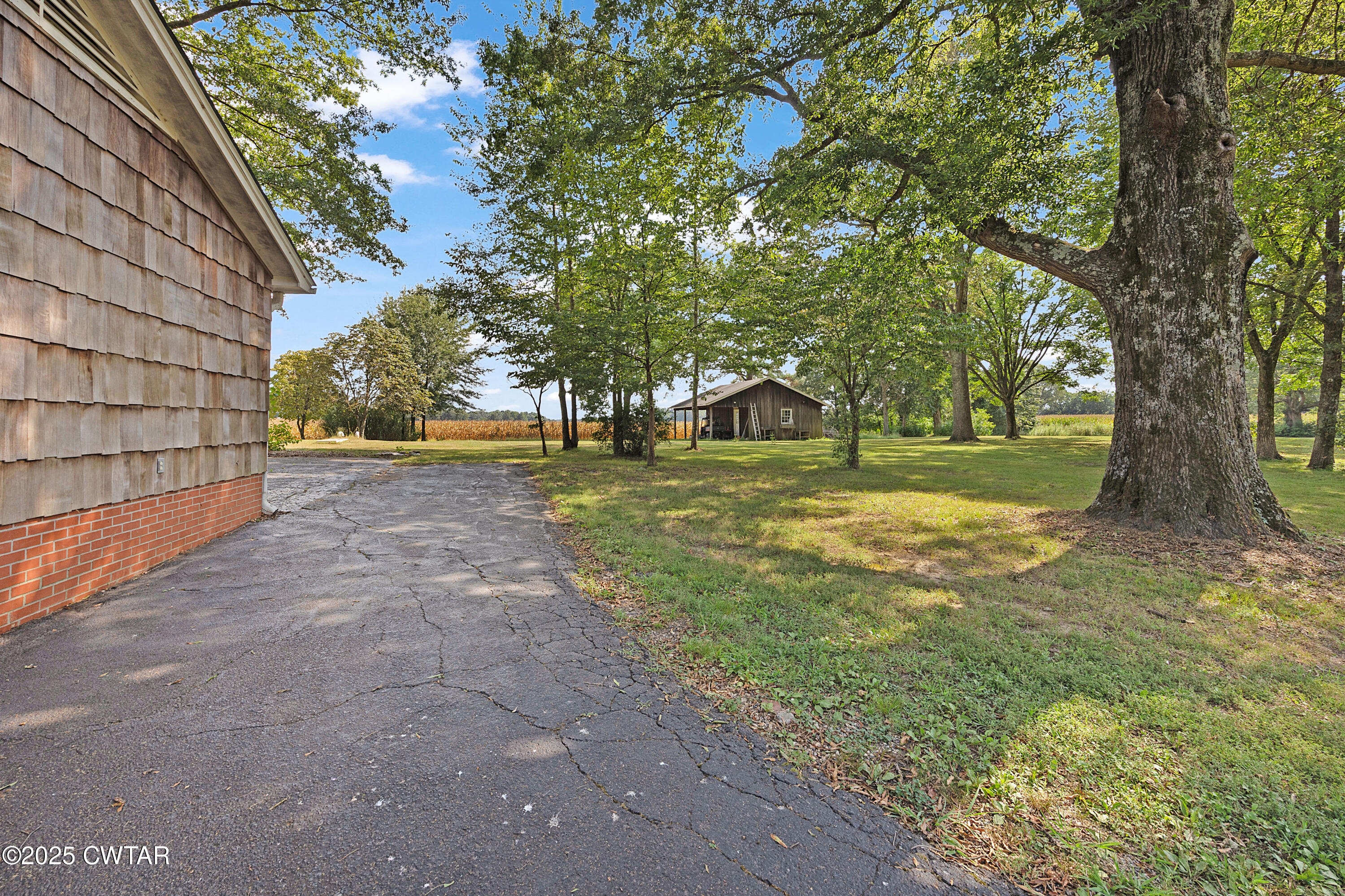 3280 Old Jackson Road Bells, TN 38006 - Photo 4 of 40 E02A7933