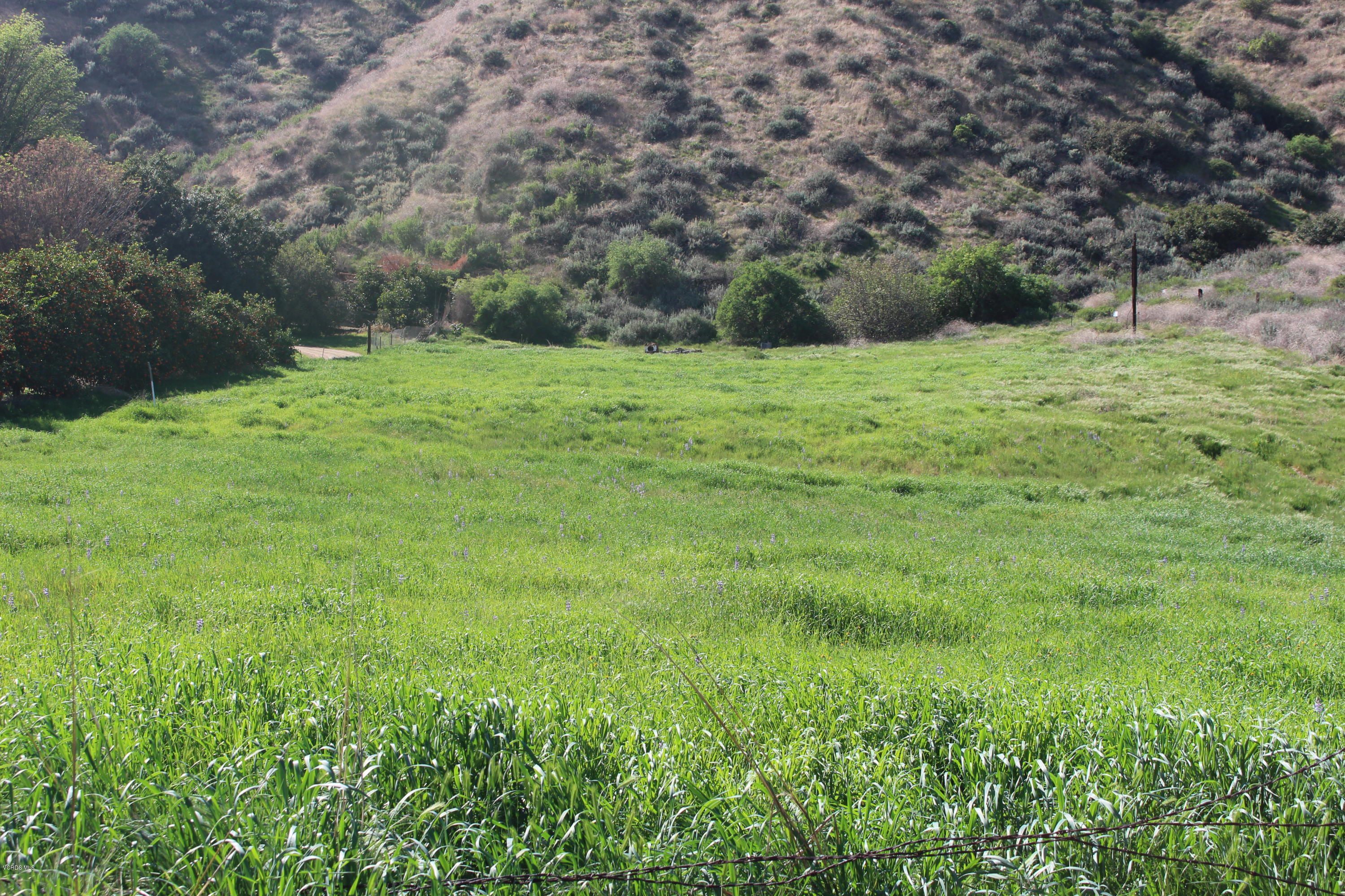 Hopper Canyon Road Fillmore, CA 93015 - Photo 2 of 11 IMG_4493