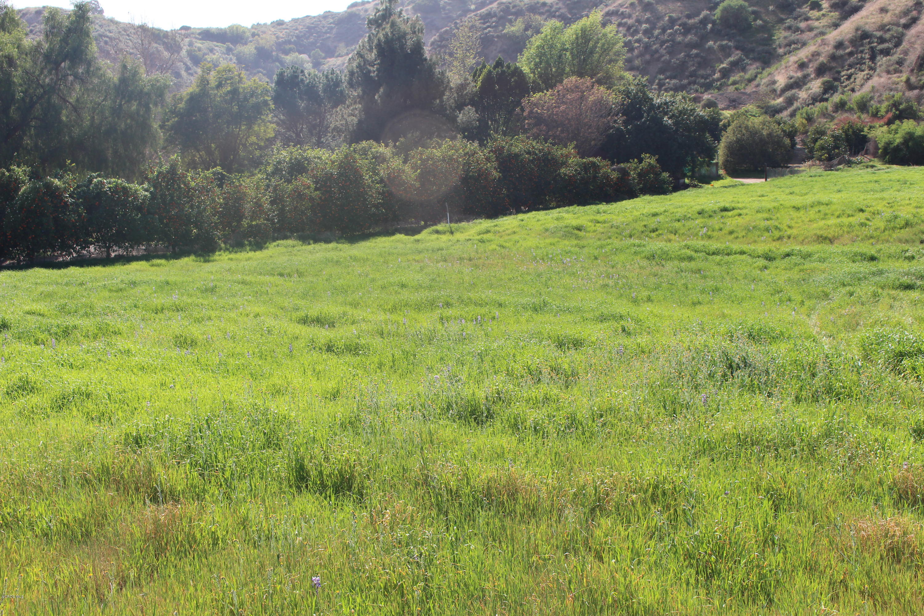 Hopper Canyon Road Fillmore, CA 93015 - Photo 3 of 11 IMG_4495