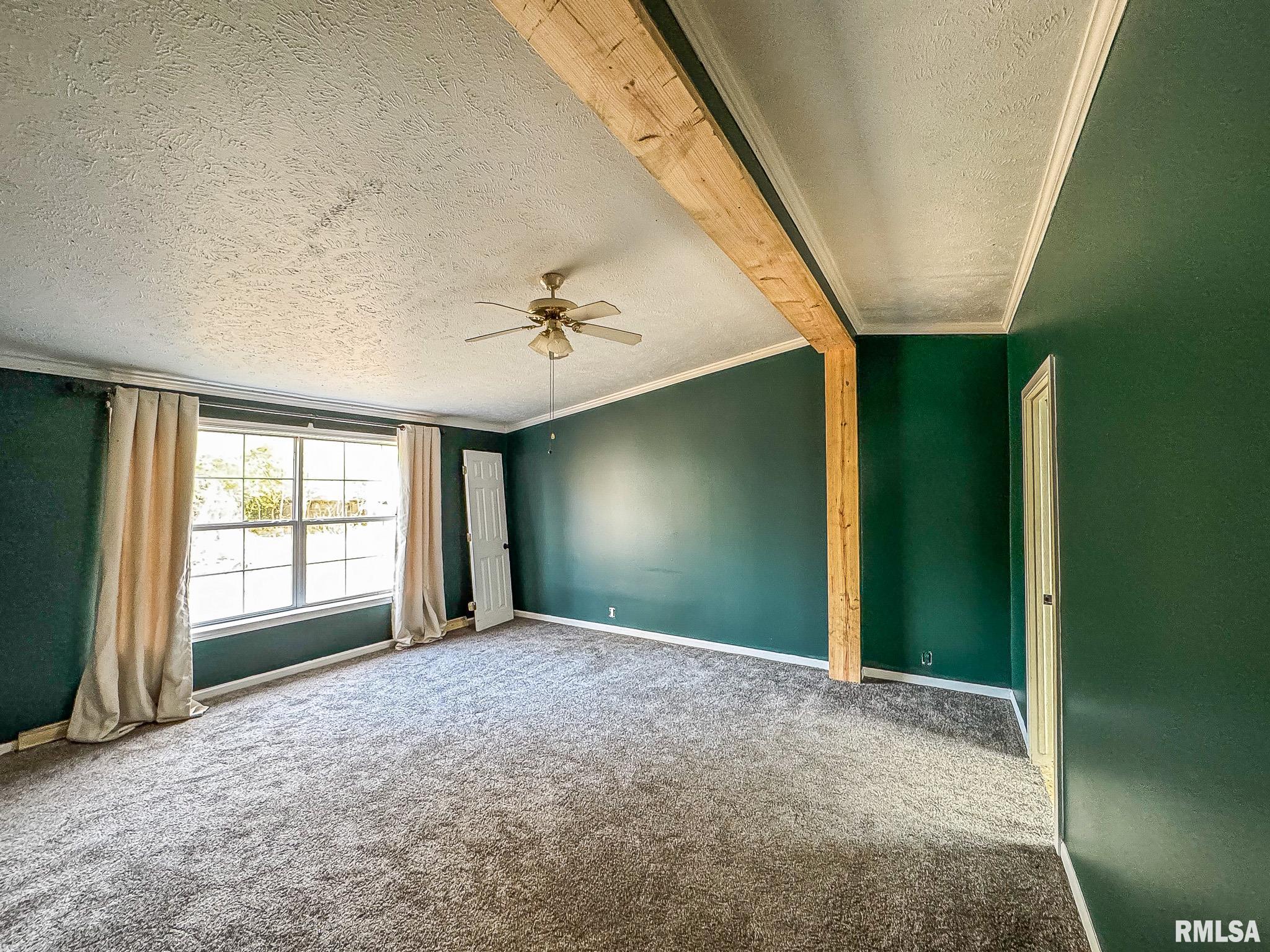 16881 Crum Road Virginia, IL 62691 - Photo 11 of 36