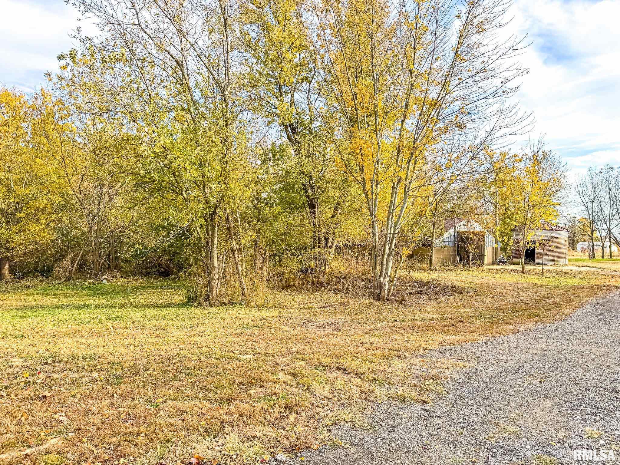 16881 Crum Road Virginia, IL 62691 - Photo 23 of 36