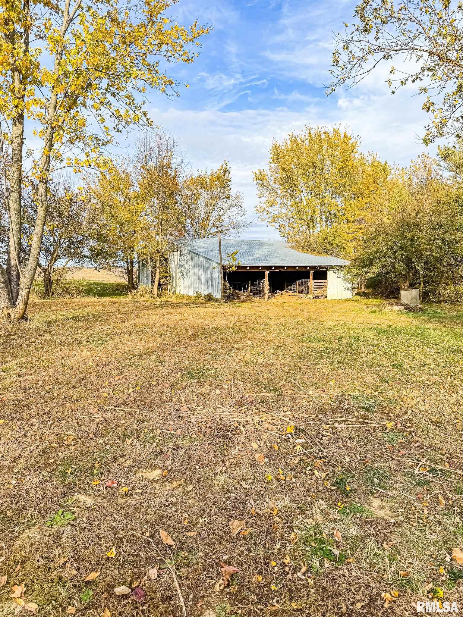 16881 Crum Road Virginia, IL 62691 - Photo 5 of 36