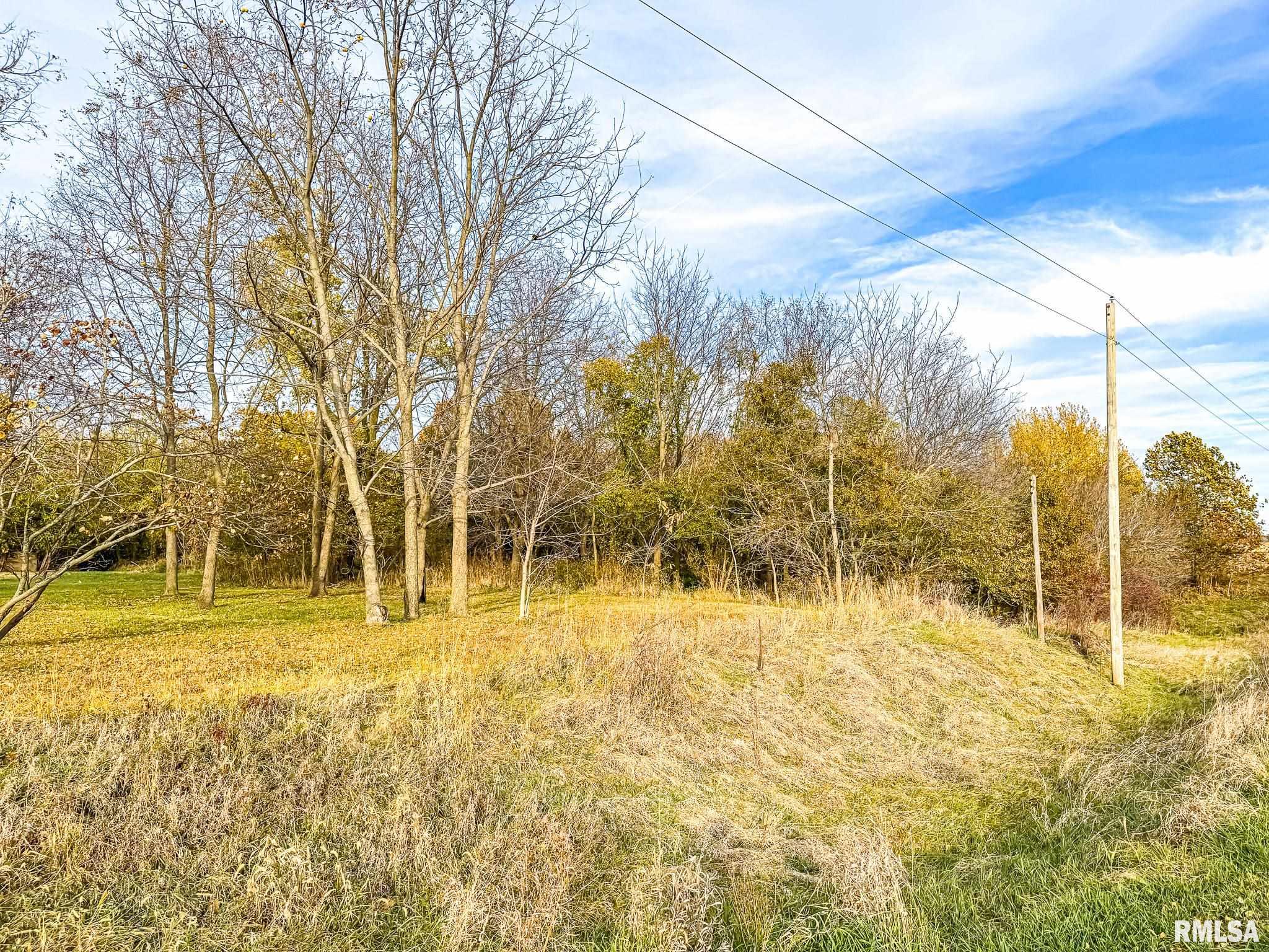 16881 Crum Road Virginia, IL 62691 - Photo 6 of 36