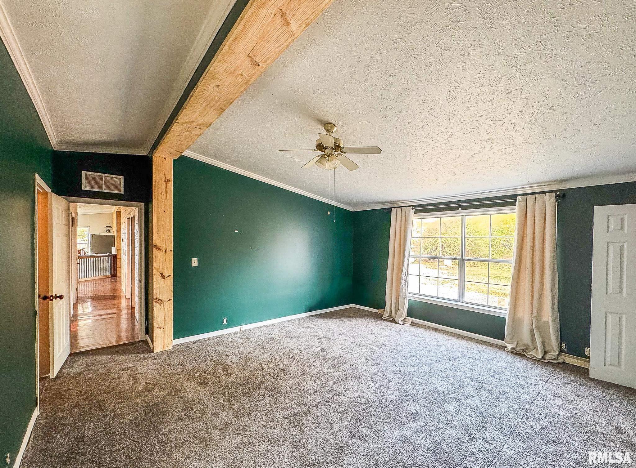 16881 Crum Road Virginia, IL 62691 - Photo 10 of 36