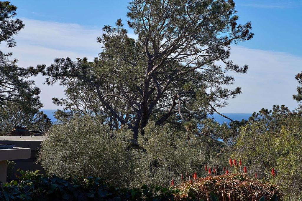 173 Ocean View Avenue Del Mar, CA 92014 - Photo 6 of 16