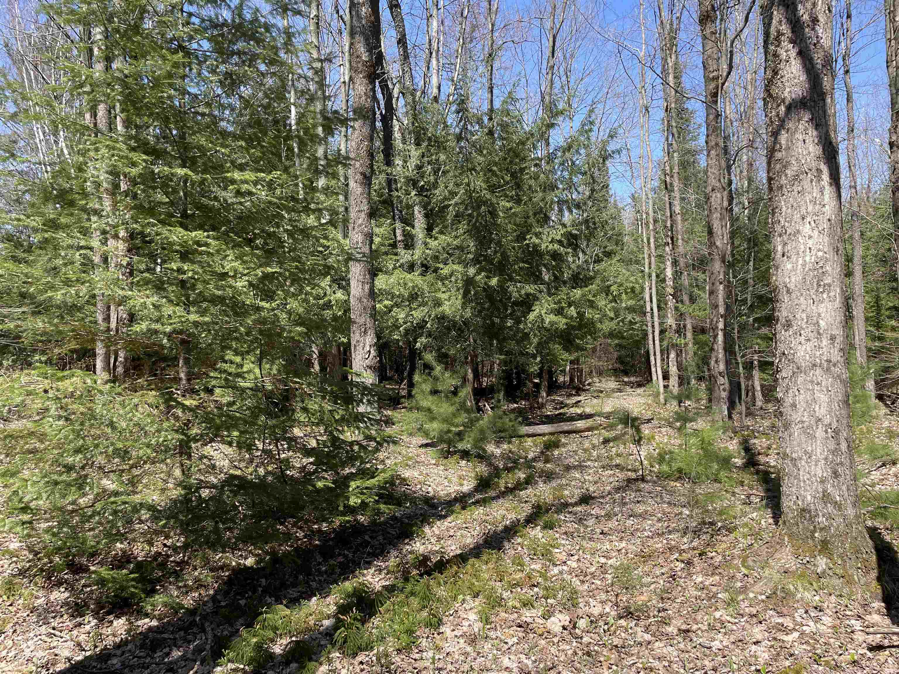 0 East 38 Road Cadillac, MI 49601 - Photo 31 of 39