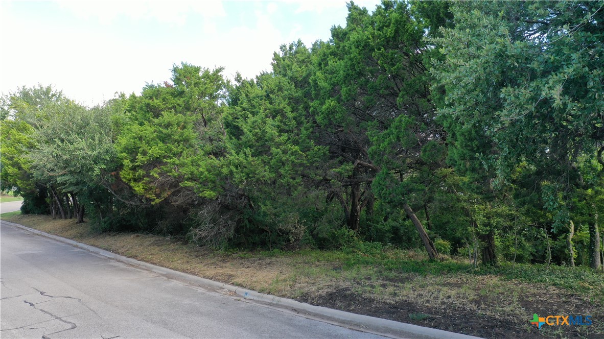 1505 Wild Ridge Drive Harker Heights, TX 76548 - Photo 2 of 7