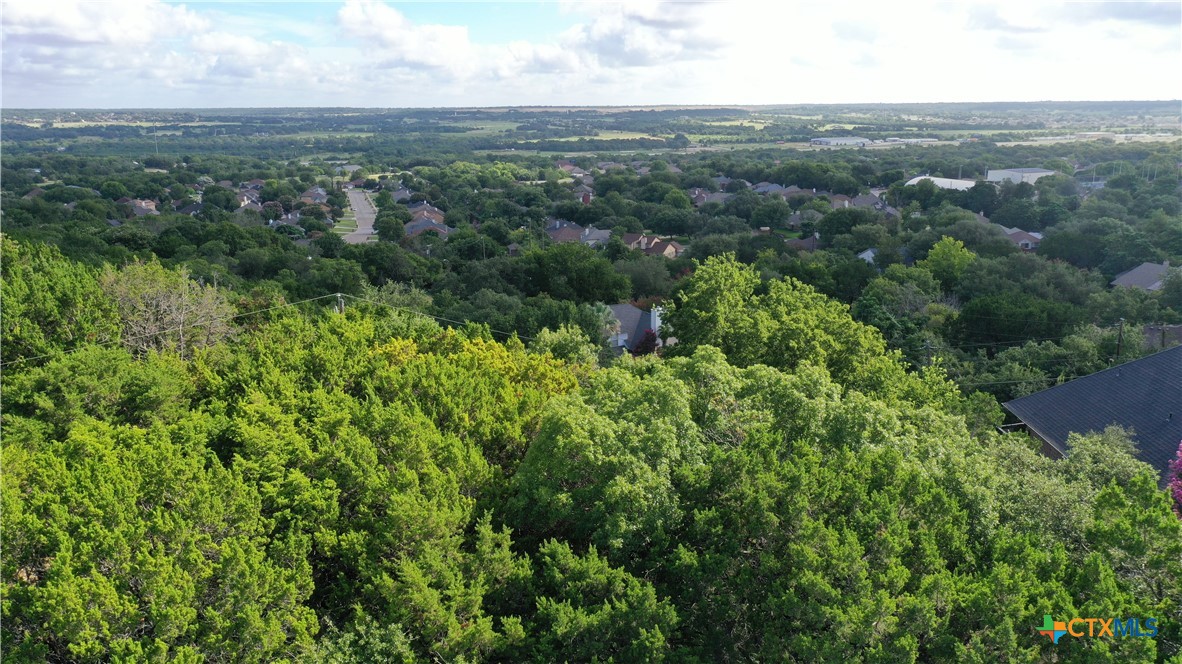 1505 Wild Ridge Drive Harker Heights, TX 76548 - Photo 4 of 7 an aerial view of residential houses with outdoor space and trees