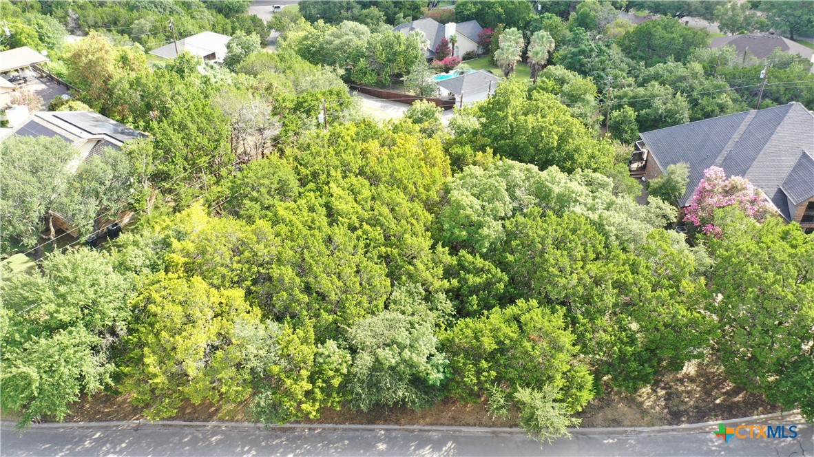 1505 Wild Ridge Drive Harker Heights, TX 76548 - Photo 5 of 7 a view of a garden with plants