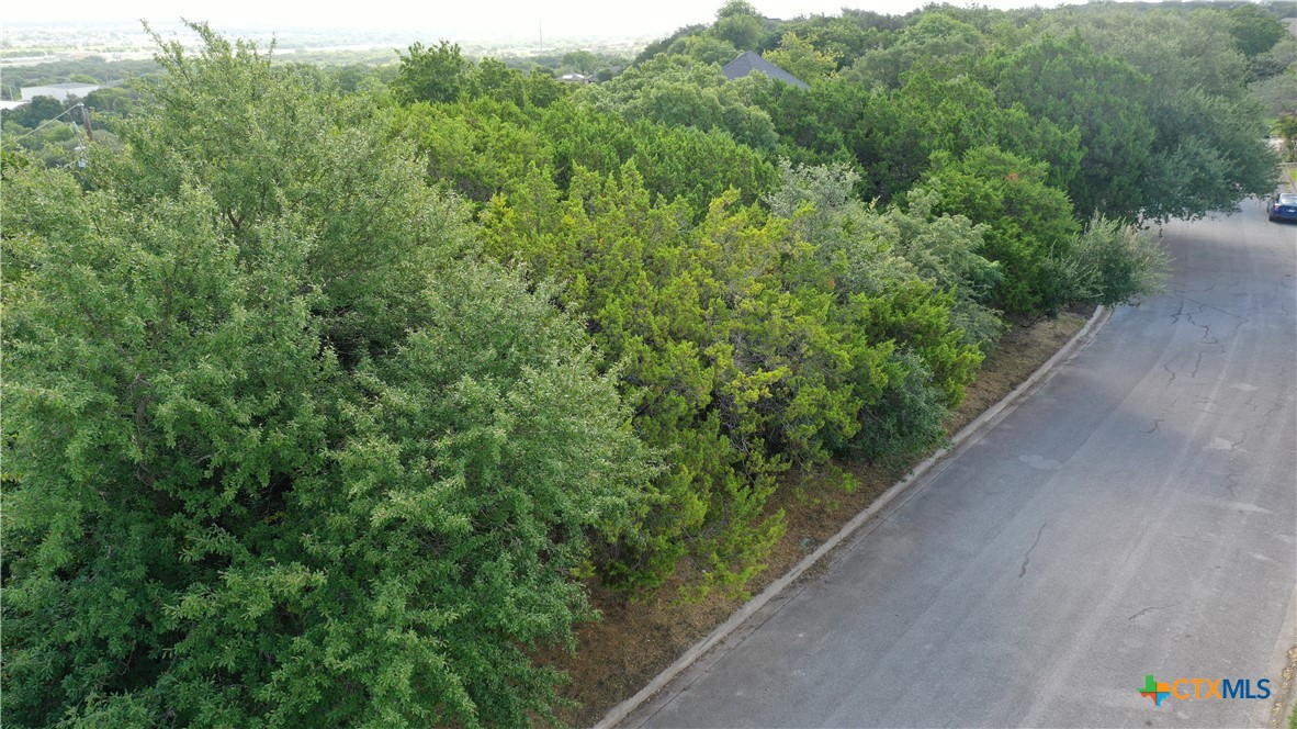 1505 Wild Ridge Drive Harker Heights, TX 76548 - Photo 6 of 7 a view of a garden with a building