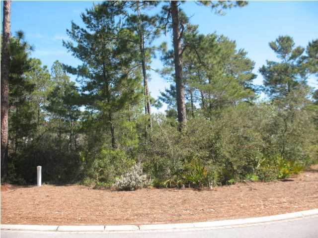 331 Plimsoll Way Santa Rosa Beach, FL 32459 - Photo 5 of 11 a view of a backyard of the house