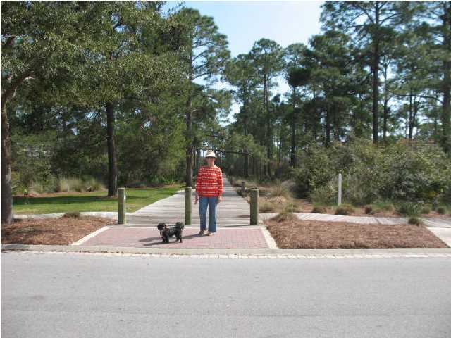 331 Plimsoll Way Santa Rosa Beach, FL 32459 - Photo 8 of 11 a park with kid zone