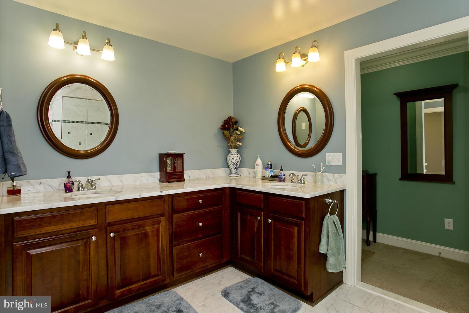 4060 Middle Road Winchester, VA 22602 - Photo 11 of 30 Luxury spa inspired master bathroom