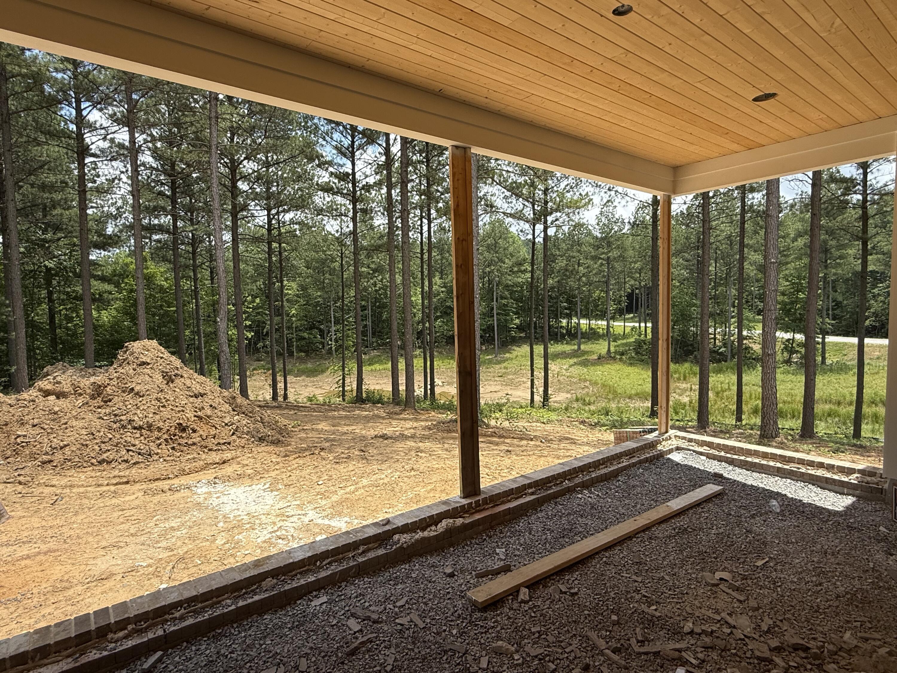 190 Farm Road, Unit 1052 Whiteside, TN 37396 - Photo 22 of 66 IMG_8425