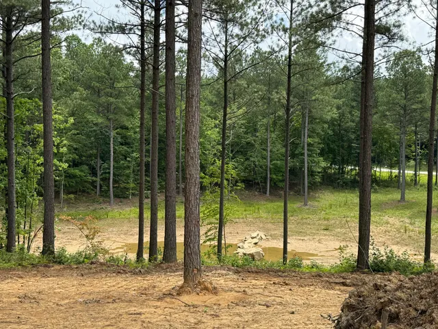 $1,425,000 | 190 Farm Road, Unit 1052, Whiteside, TN 37396