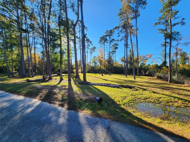 a view of a swimming pool with a yard