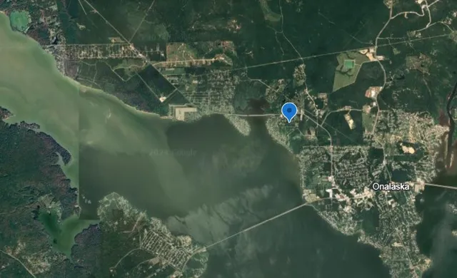 a view of door and small yard