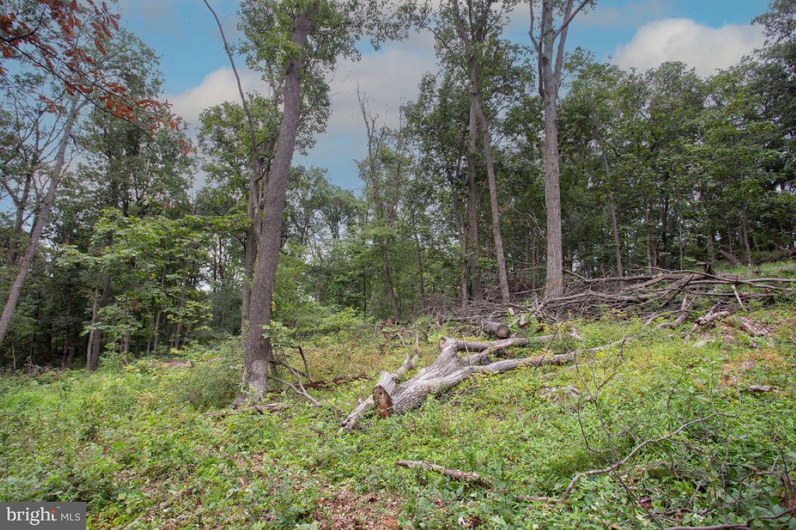 2325 York Road Gettysburg, PA 17325 - Photo 42 of 63 a backyard of a house with lots of green space