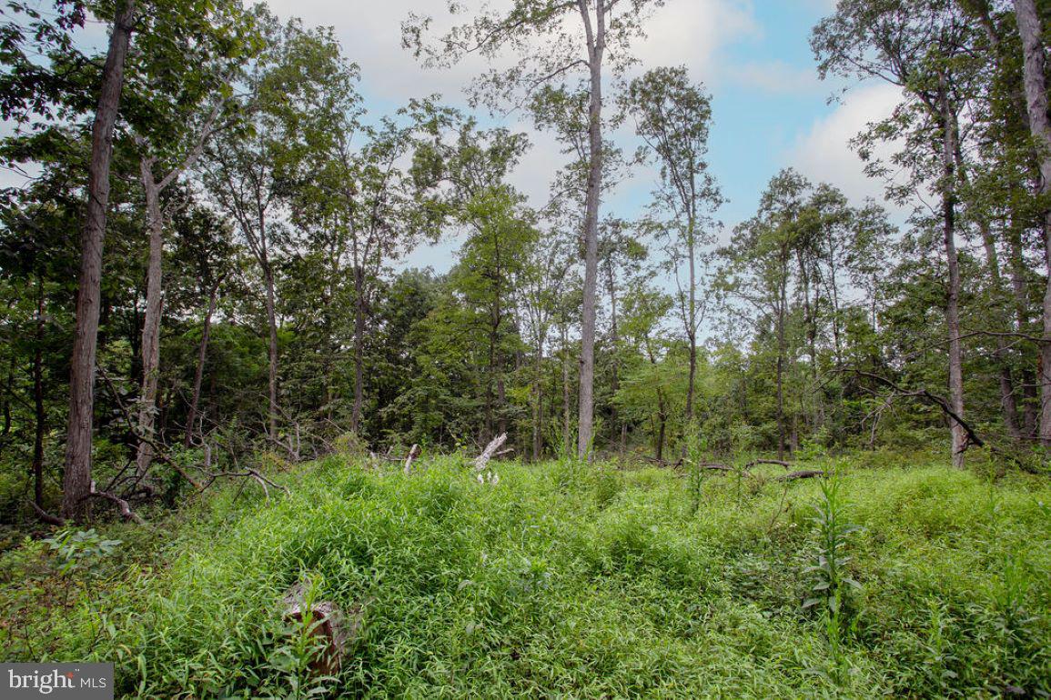 2325 York Road Gettysburg, PA 17325 - Photo 49 of 63 a view of outdoor space and green field
